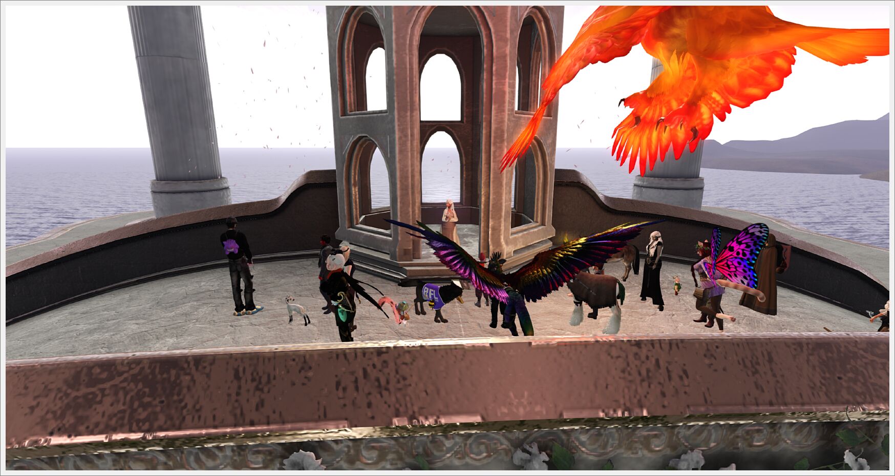 bards day 5-014